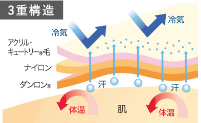 チョモランマ3層構造図