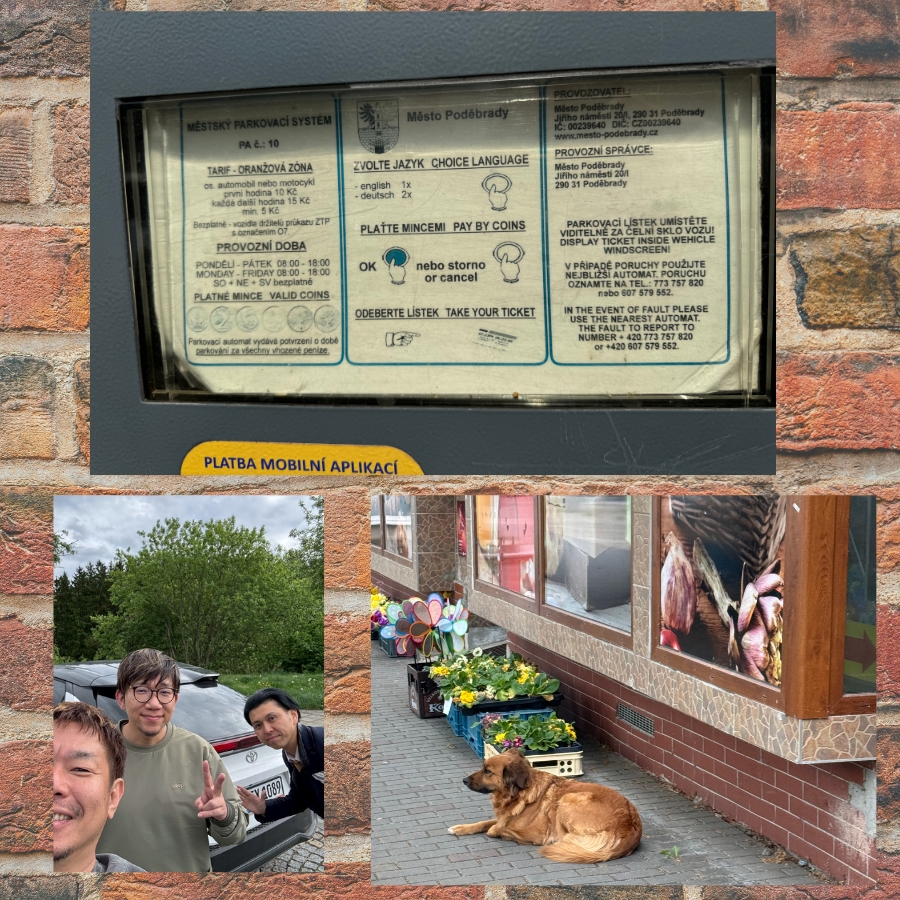 犬に優しい国チェコ