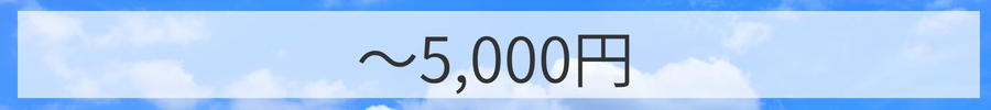 価格～5000円