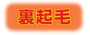 裏起毛